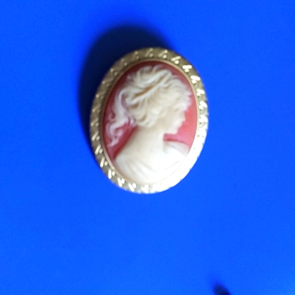 Cameo pin brooch plastic and metal